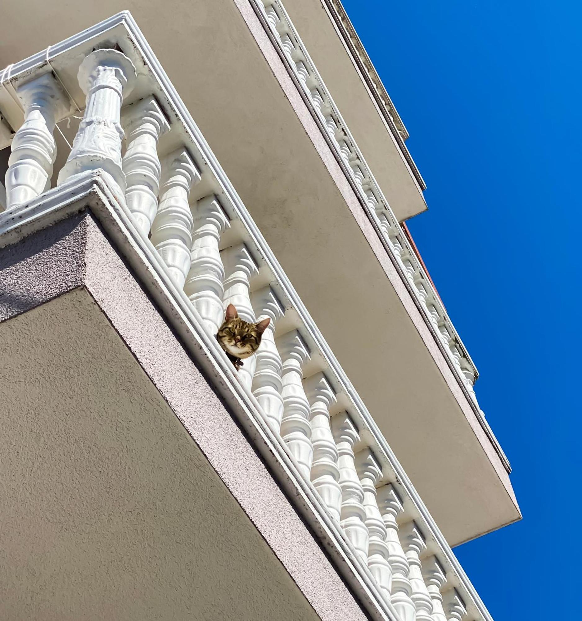 Northgate Apart-villa Shkoder