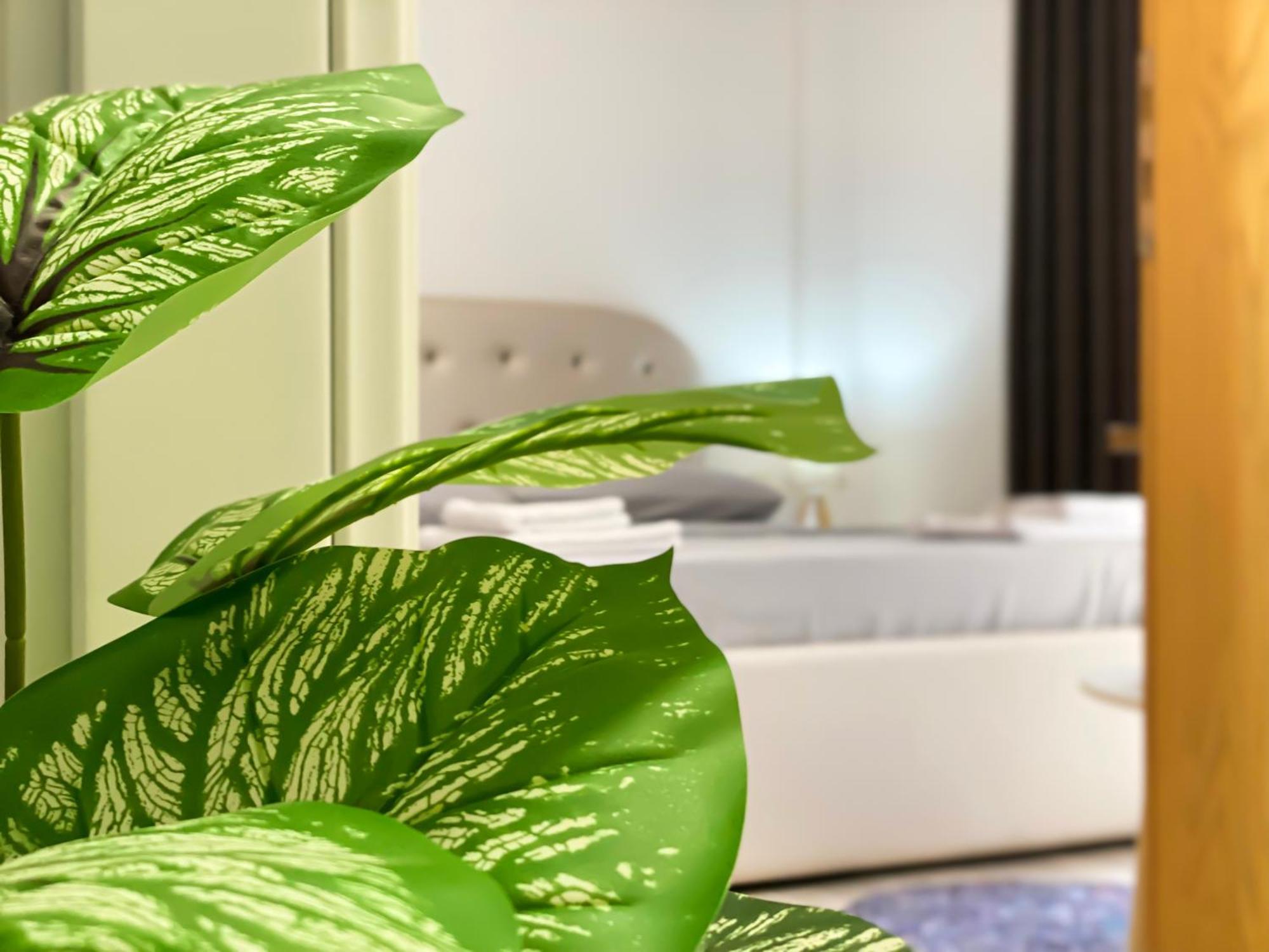 Apartment Northgate Apart-villa Shkoder
